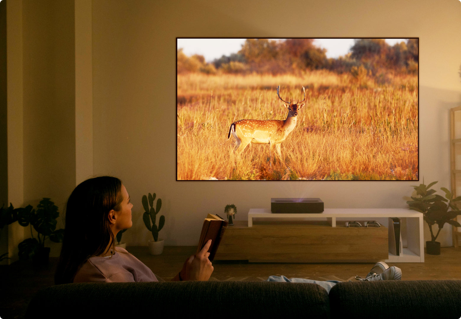 Make the Most of Your Streaming Services with a Laser Projector ...